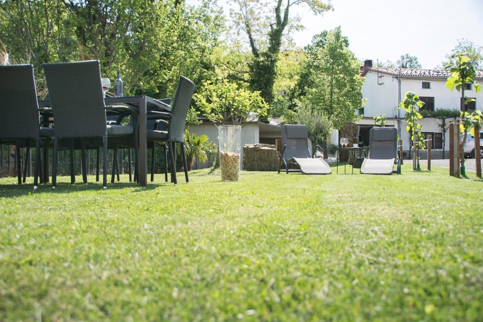 Apartment Vidus Wine Estate Apartment in Slovenia
