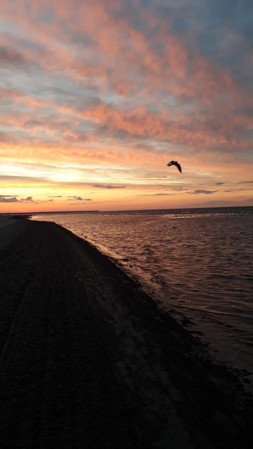 Sunny seaside place Vacation rental in Jūrmala