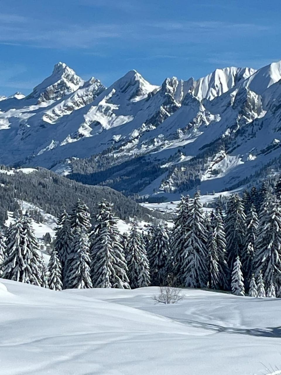 Appart LAPRESKI, vue montagne, spacieux & lumineux, Annecy, Lac & Aravis, La Clusaz Apartment in Haute-Savoie