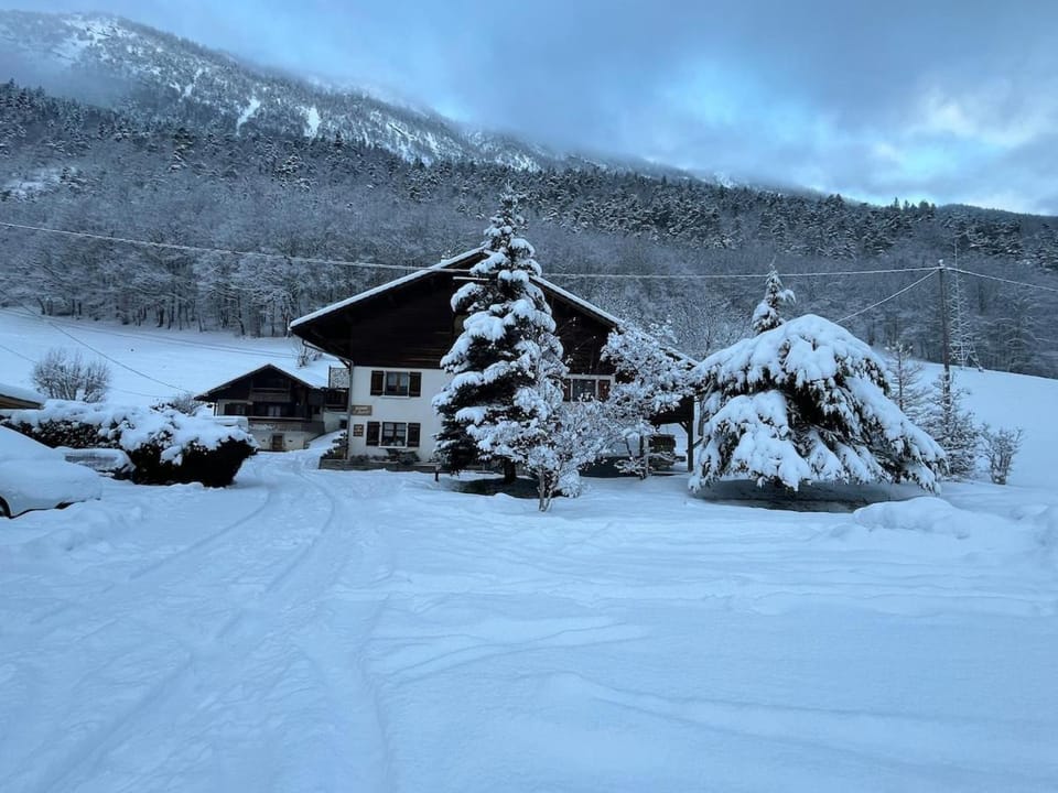 Appart' Lapreski Apartment in Haute-Savoie