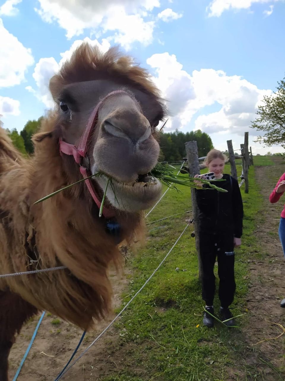 Pensjonat Przy Stajni Farm Stay in Pomeranian Voivodeship