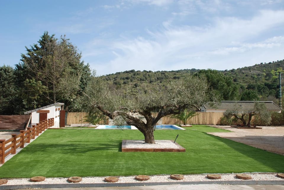 Garden view