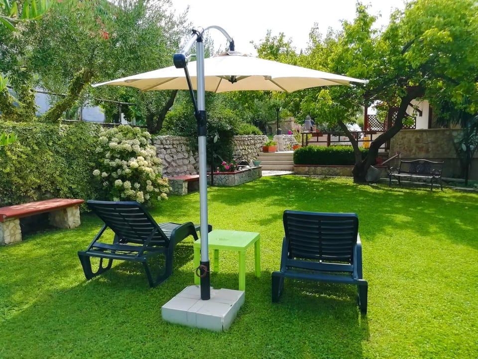 Garden, Garden, Garden view, Inner courtyard view, sunbed