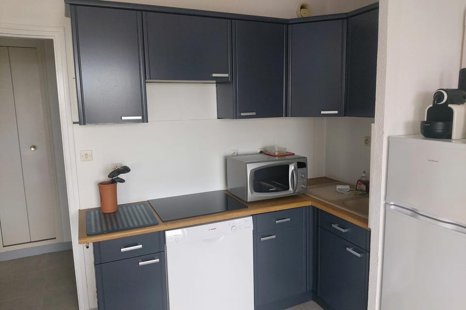 Naturiste Cap d'Agde Héliopolis F 71 Apartment in Agde