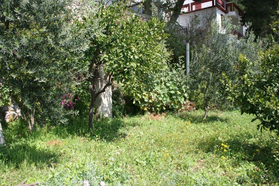 Location, children, Family