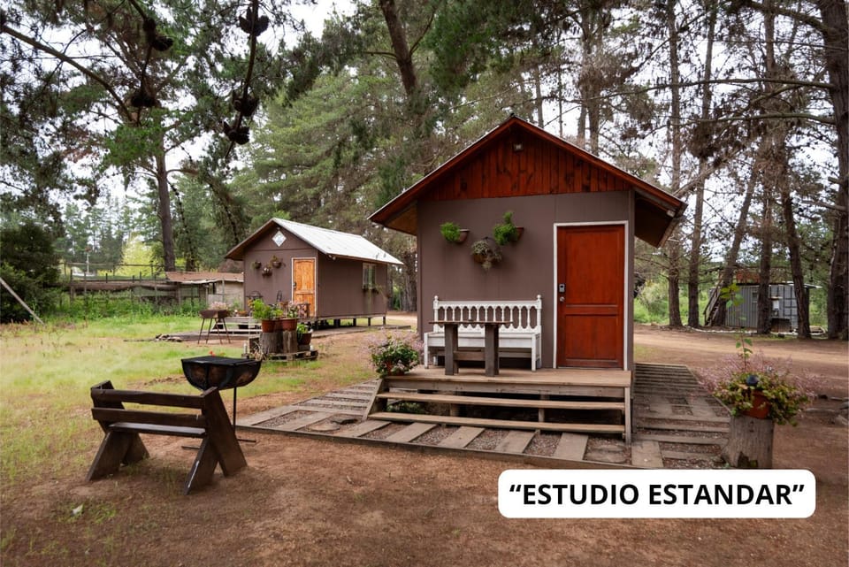 Cabañitas del Bosque Nature lodge in Santiago Metropolitan Region