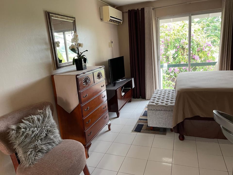 Cityscape at Chelsea Manor / New Kingston Studio! Apartment in Kingston
