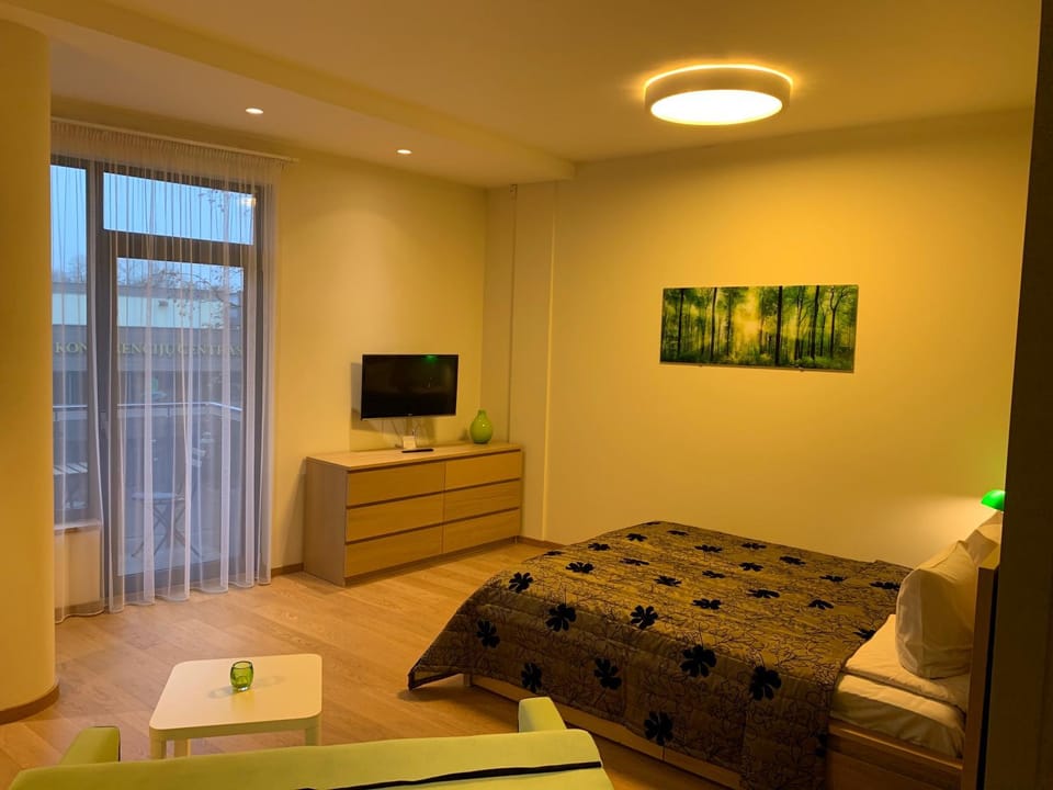 Brolių studija Apartment in Lithuania