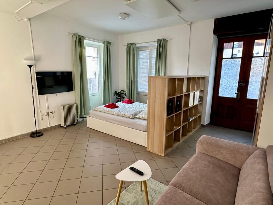 Soca treasure with free parking Apartment in Bovec