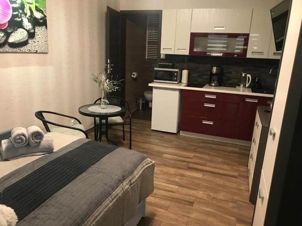 Spadzista 3 Apartment in Lower Silesian Voivodeship