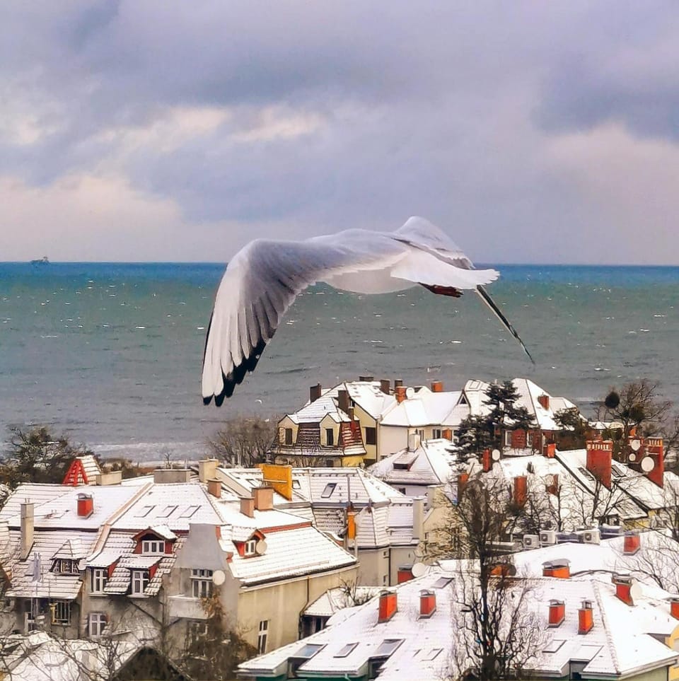 Day, Natural landscape, Bird's eye view, Winter, View (from property/room), View (from property/room), City view, City view, Landmark view, Landmark view, Sea view, Sea view, Street view, Quiet street view