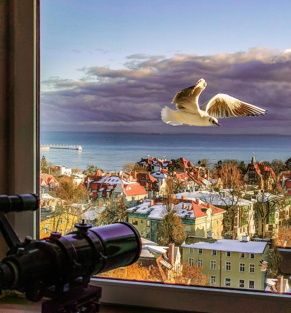 Nearby landmark, Day, Natural landscape, City view, Landmark view, Landmark view, Sea view, Street view