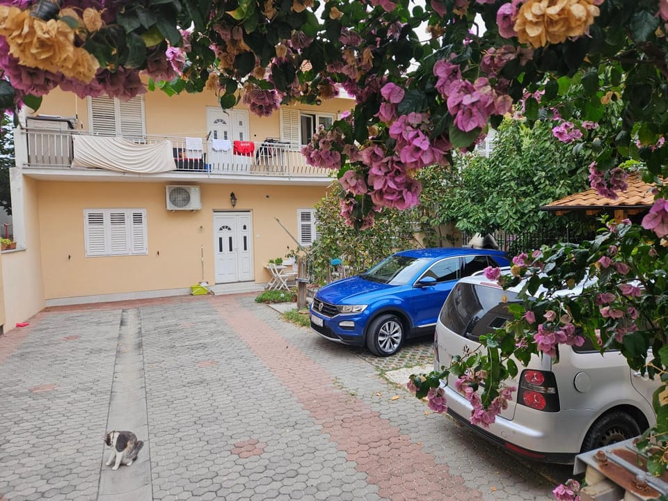 Patio, Patio, Lobby or reception, Inner courtyard view