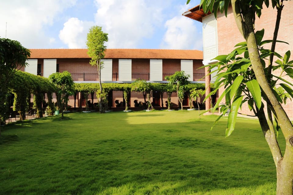 Patio, Garden, Garden view
