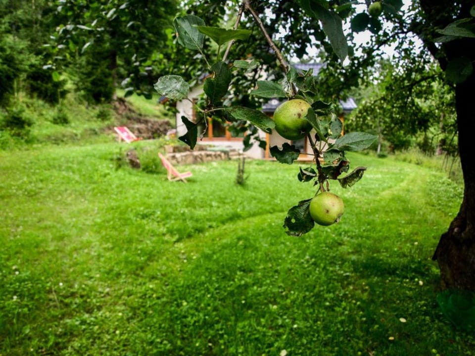 Pod Klonem Apartment in Lesser Poland Voivodeship