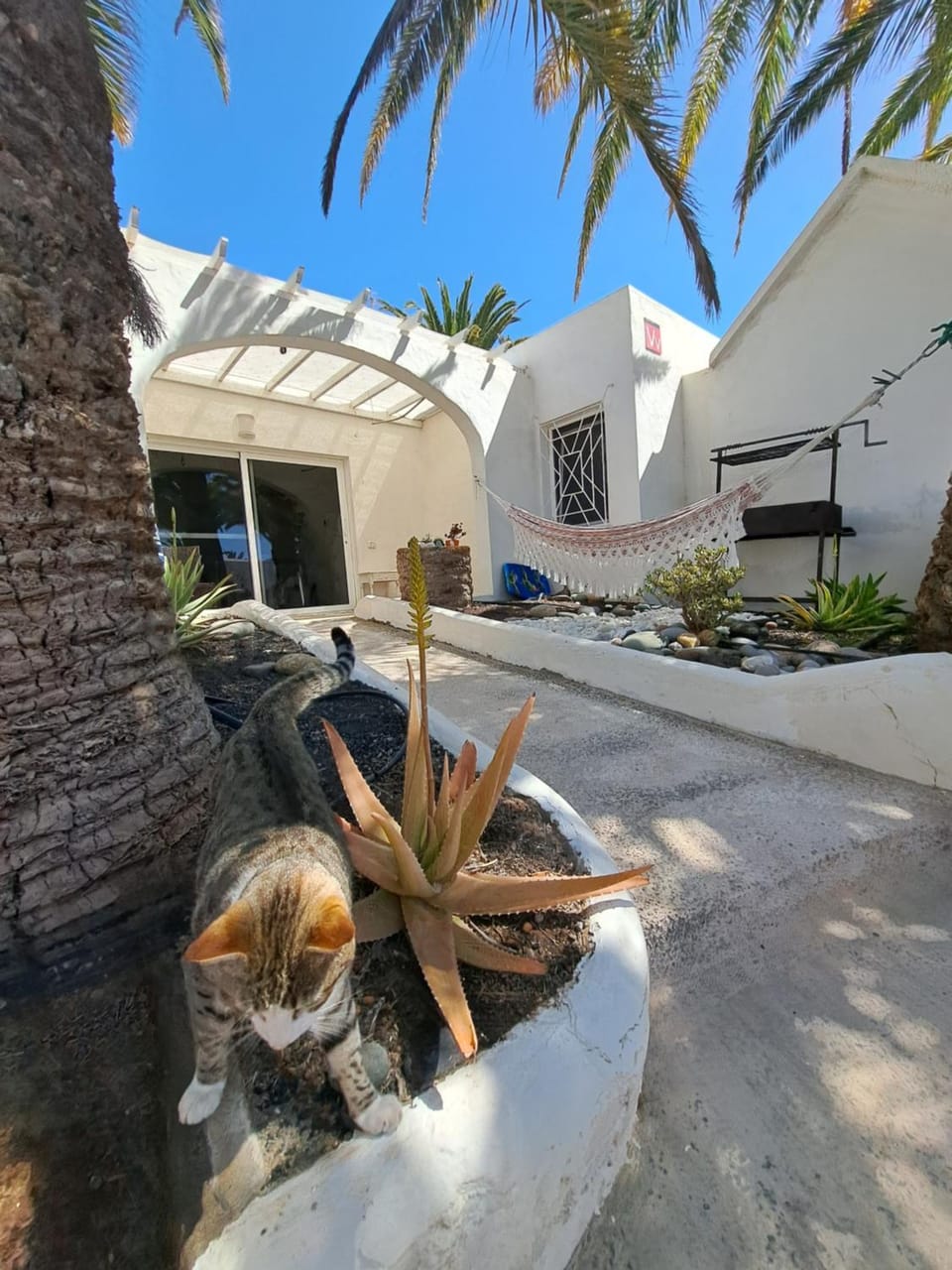 Palm Point Apartment in Fuerteventura