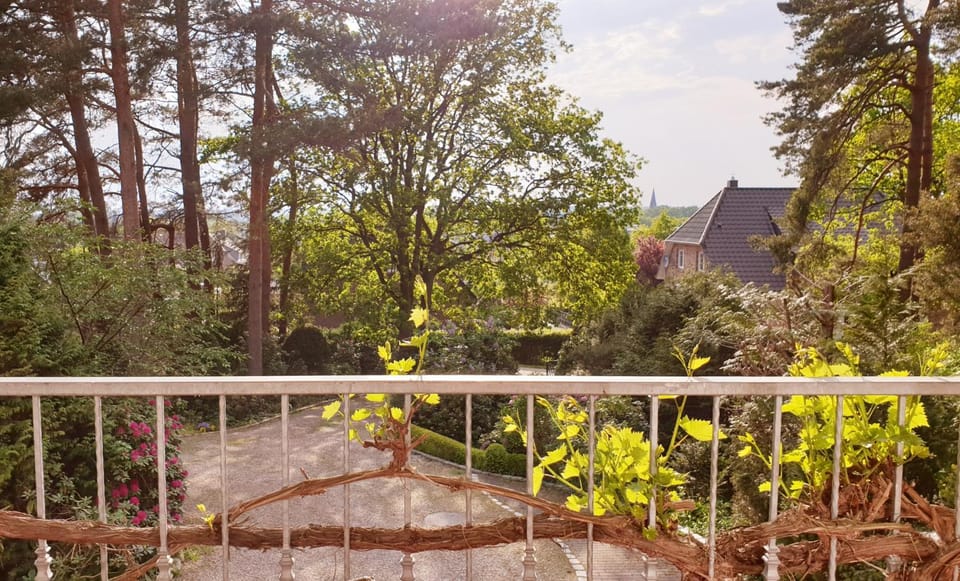 View (from property/room), Garden view