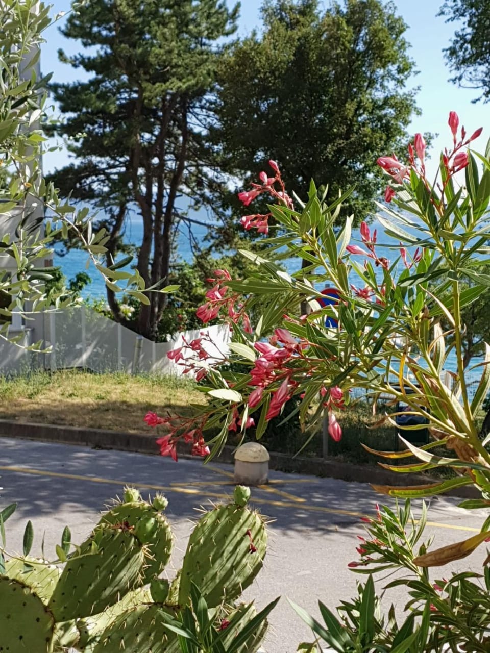 D&M APARTMAN 2 Apartment in Primorje-Gorski Kotar County