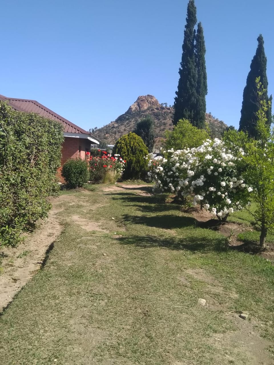 Mountain view