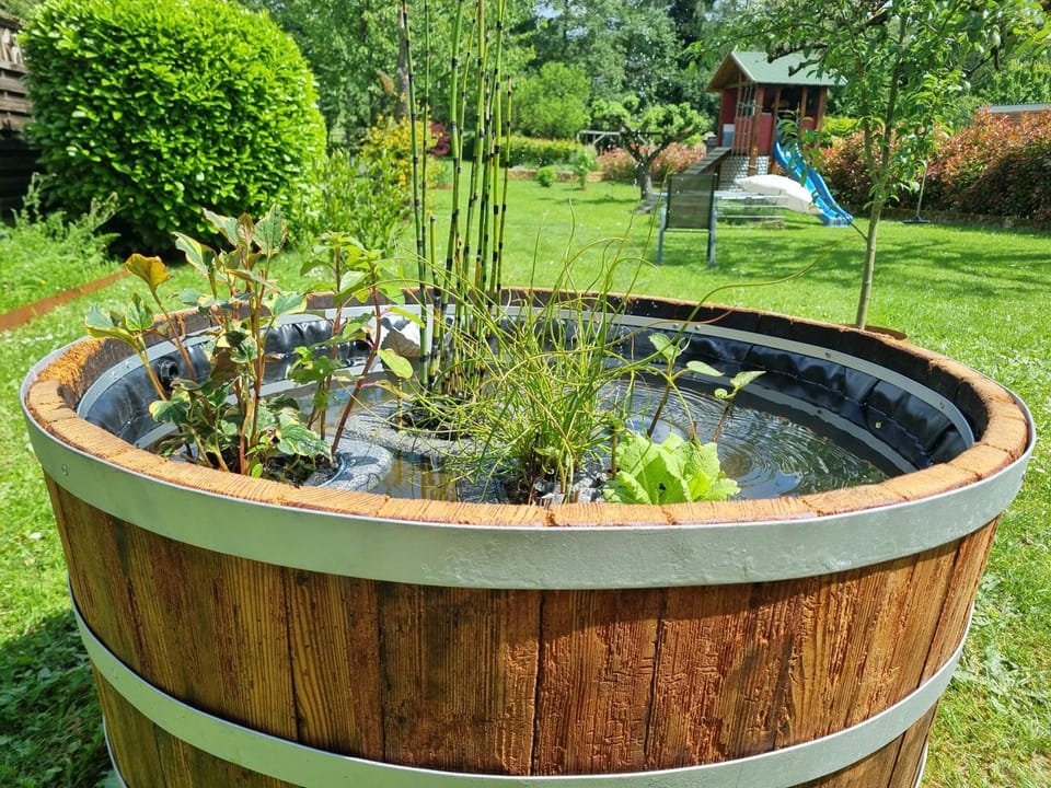 Garden, Garden view