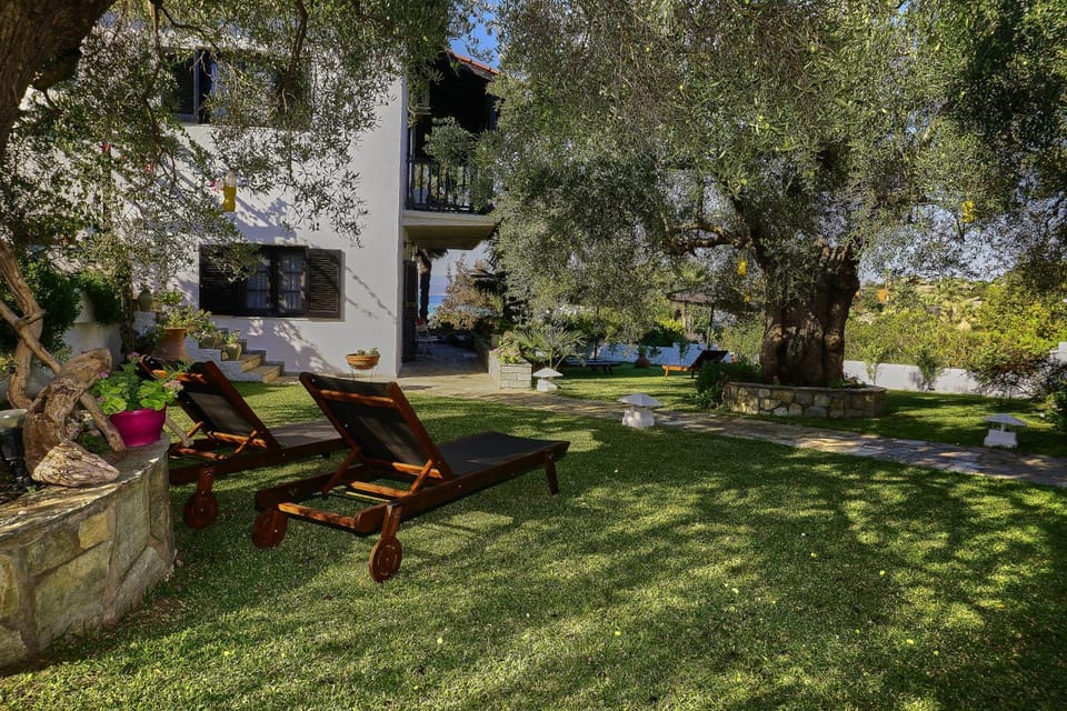 Garden, sunbed