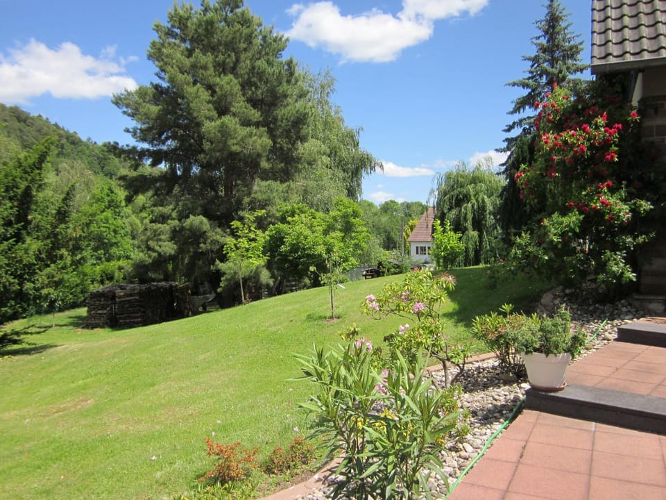 Mittenbach Apartment in Grand Est