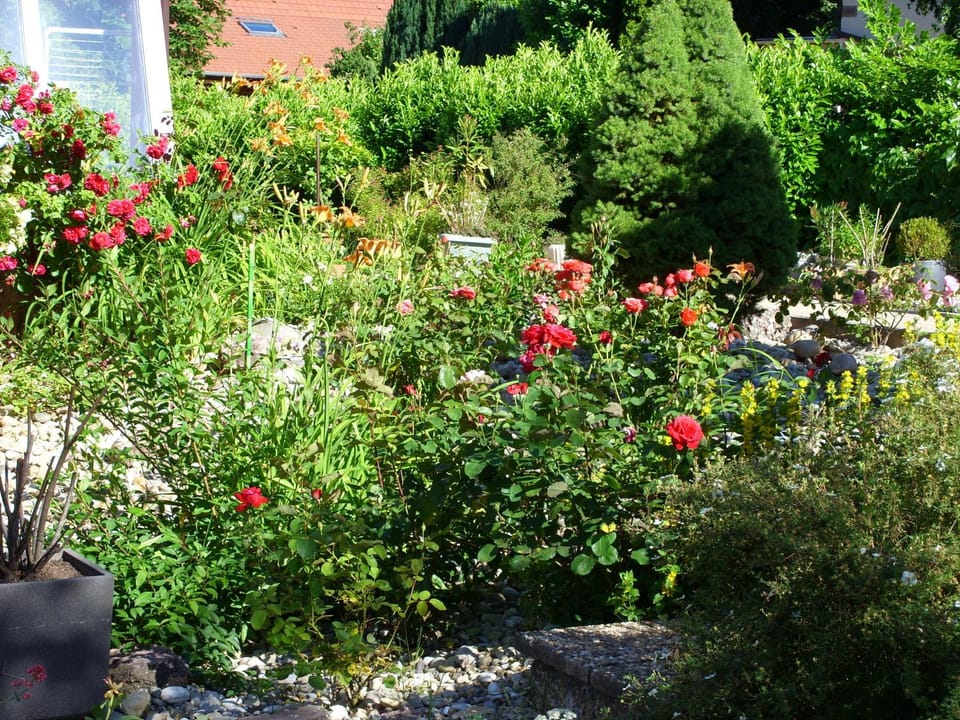 Mittenbach Apartment in Grand Est