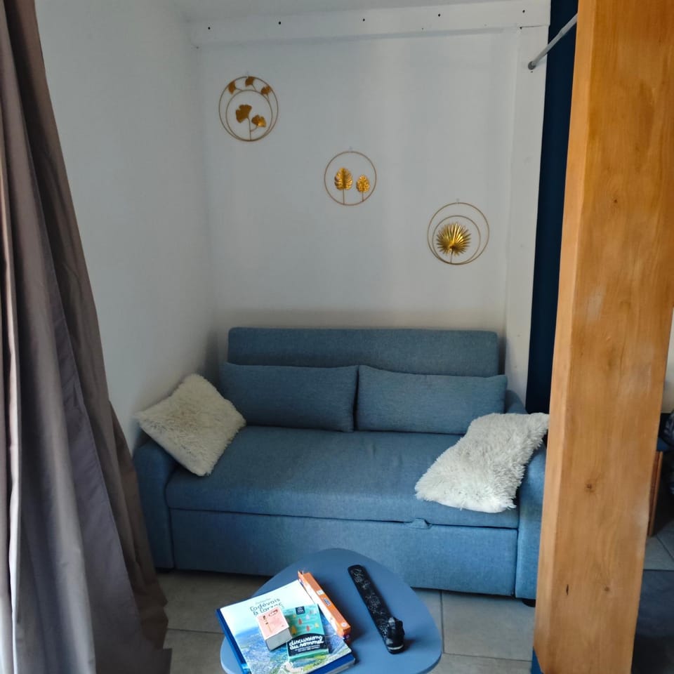 Gîte effet d’art Apartment in Occitanie