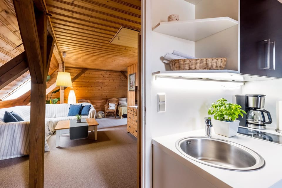 Kitchen or kitchenette, Photo of the whole room, stove