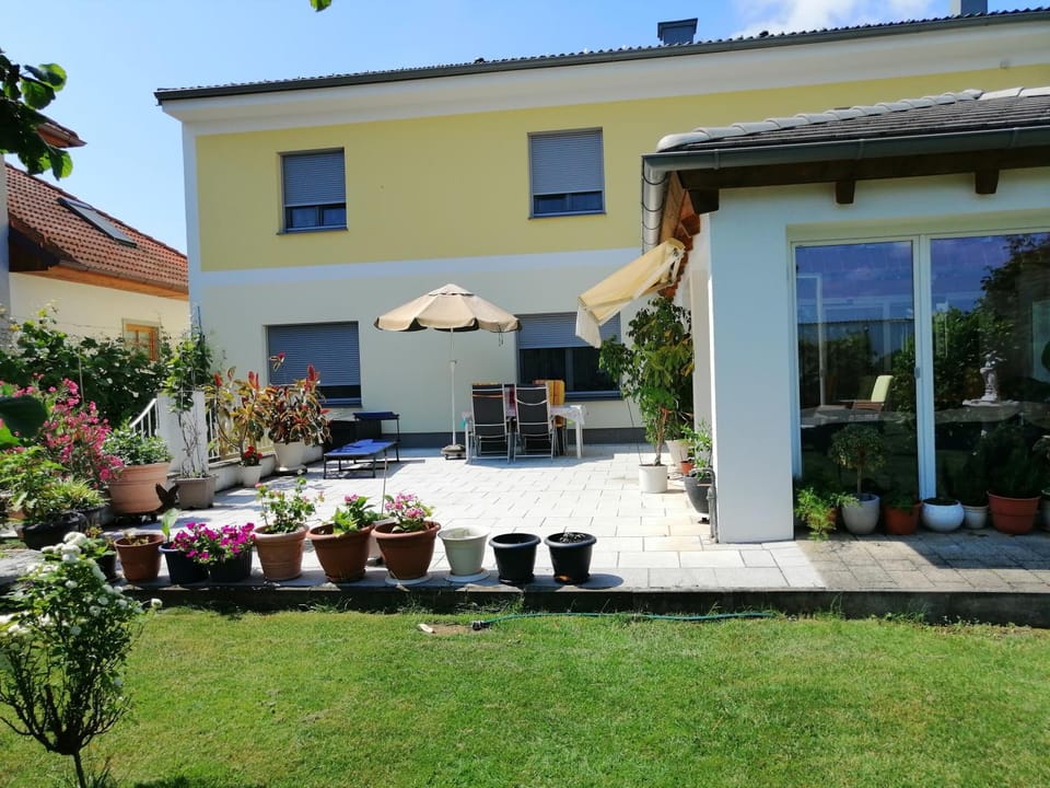 Patio, Garden
