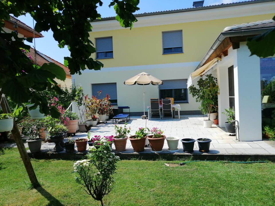 Patio, Garden