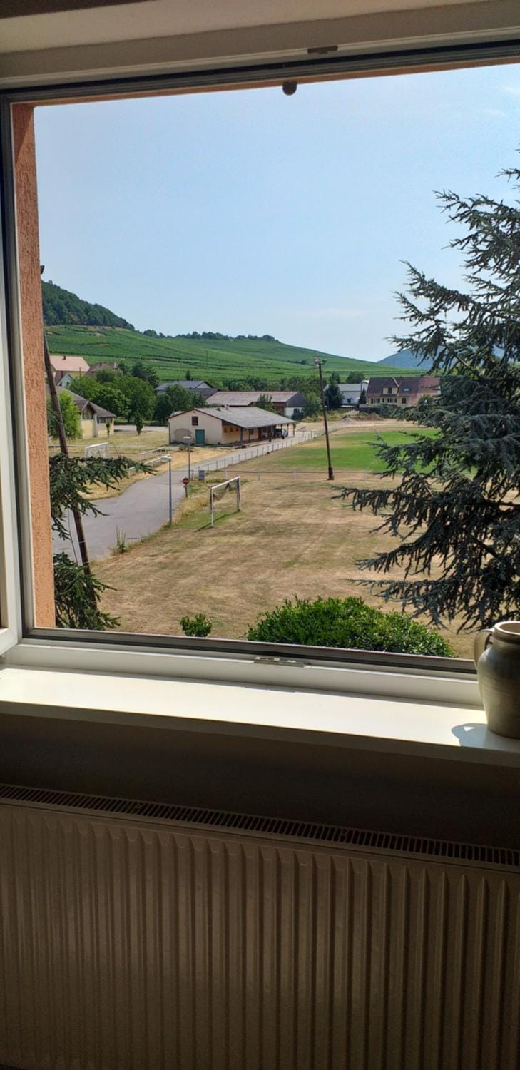 View (from property/room)