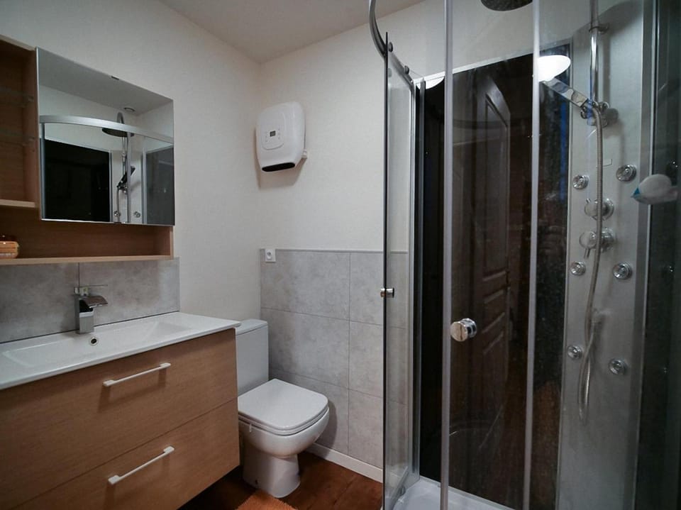 Shower, Toilet, Bathroom, towels