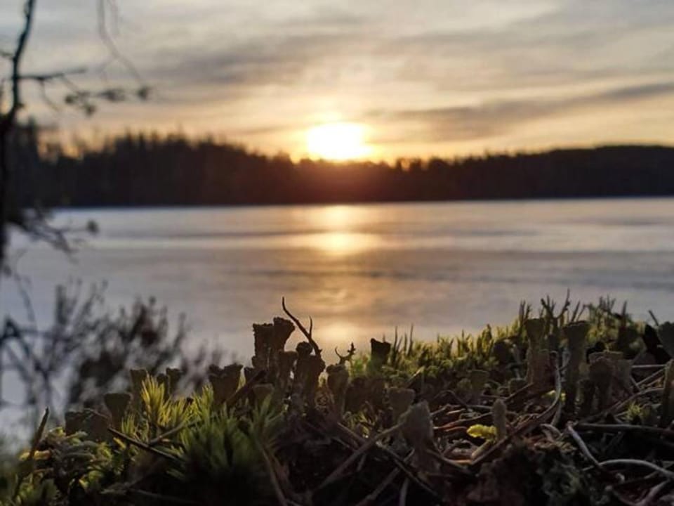 Natural landscape, Lake view, Sunrise