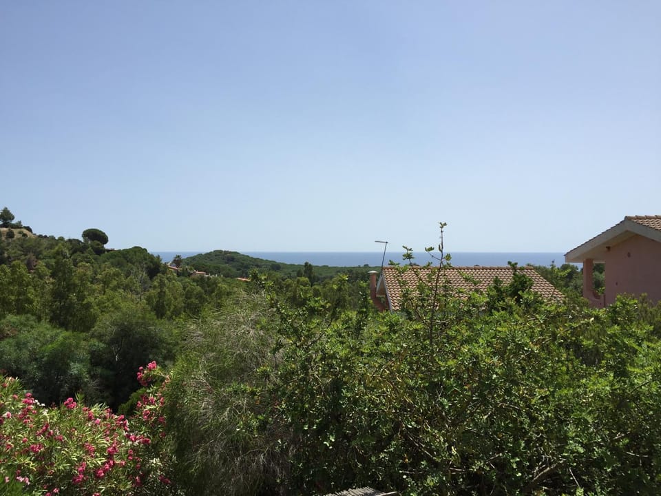 Neighbourhood, Sea view