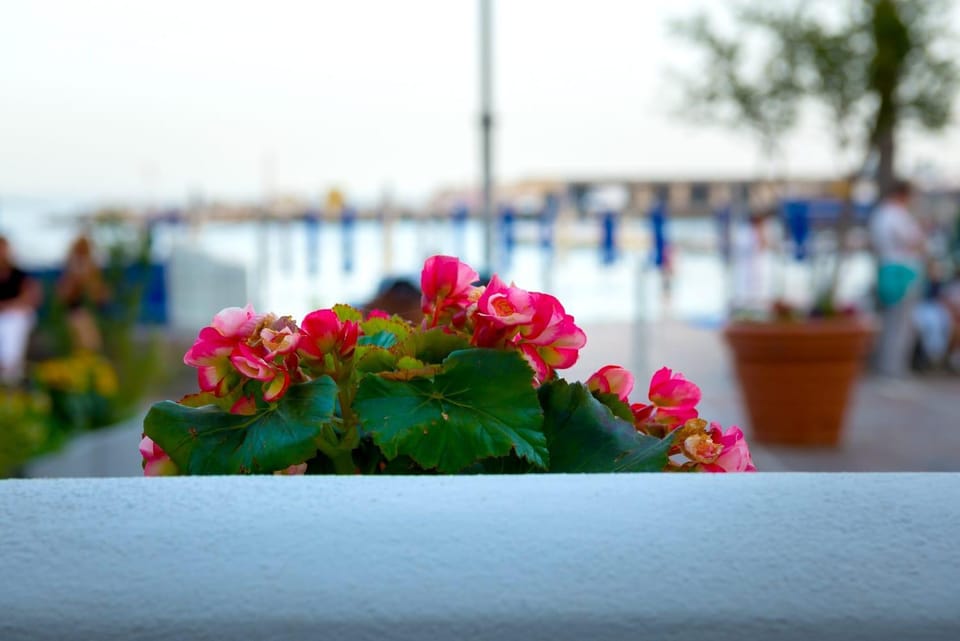 Balcony/Terrace, Sea view