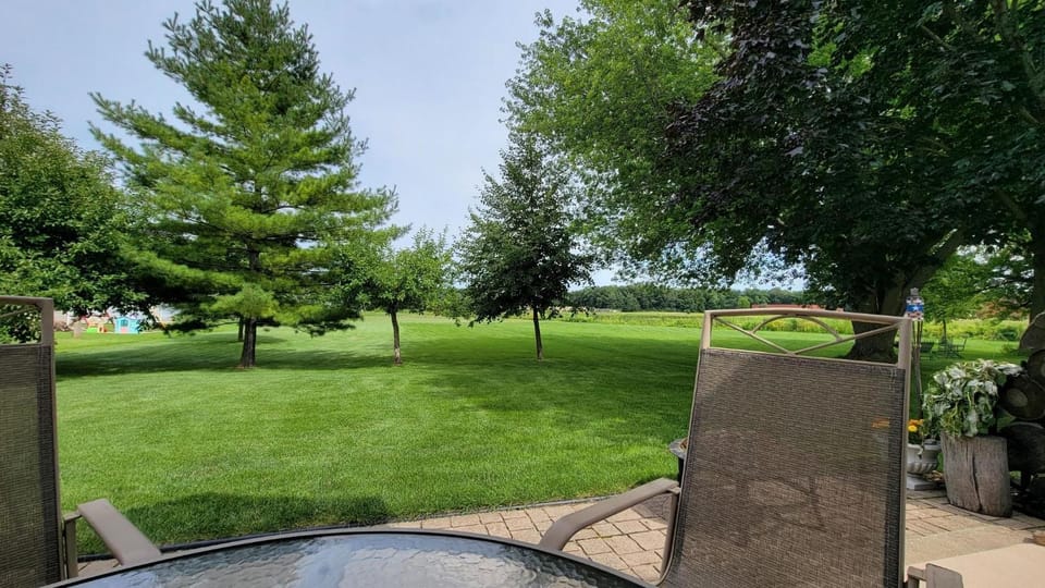 Garden view