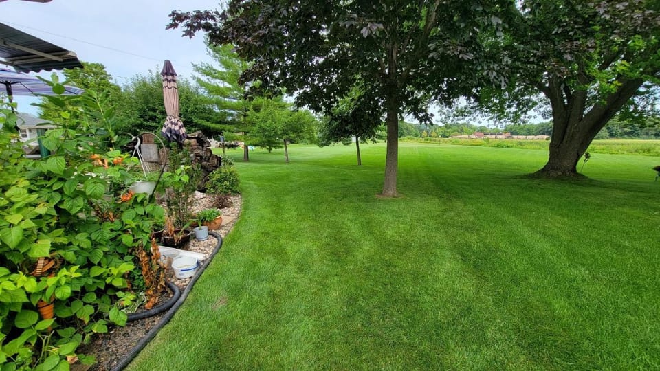Garden view