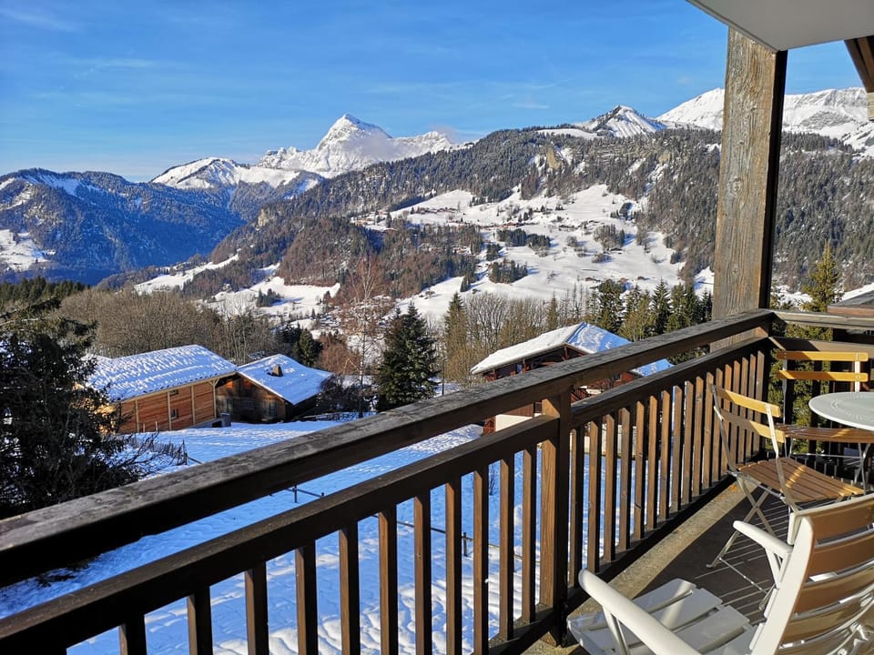 Winter, Garden, Balcony/Terrace, Garden view, Garden view, Mountain view