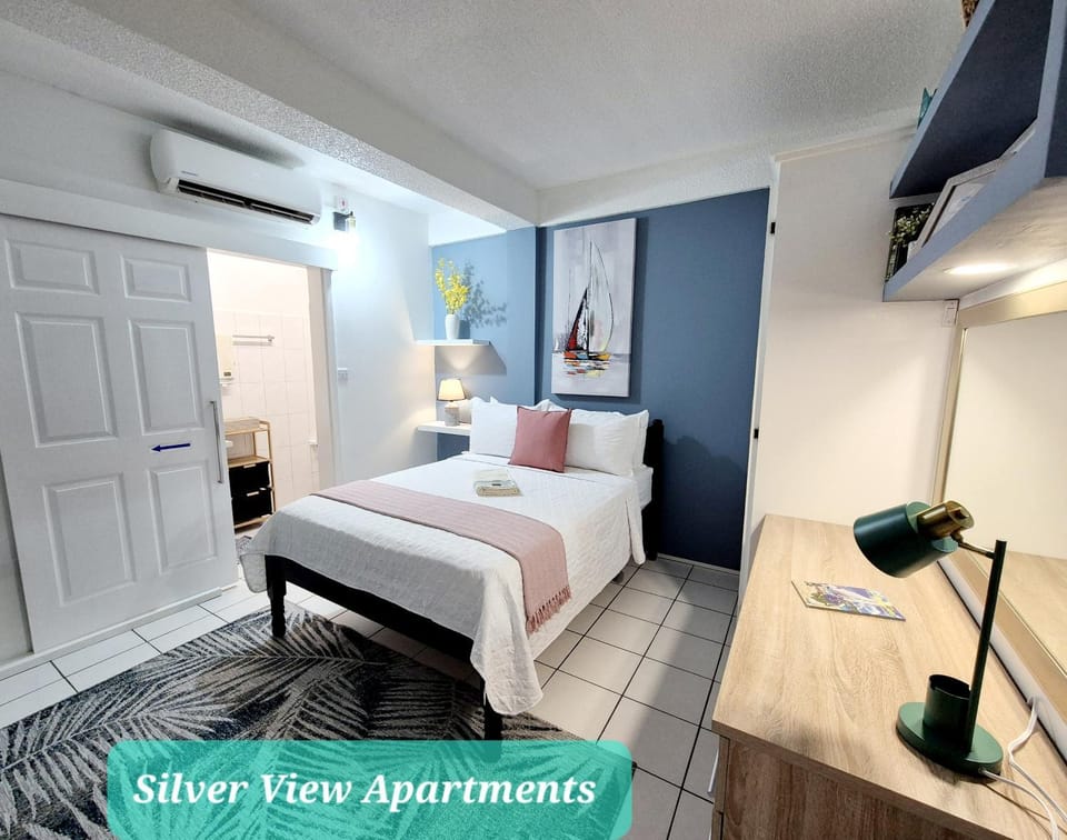 Silver View Apartments Bed and Breakfast in Saint George