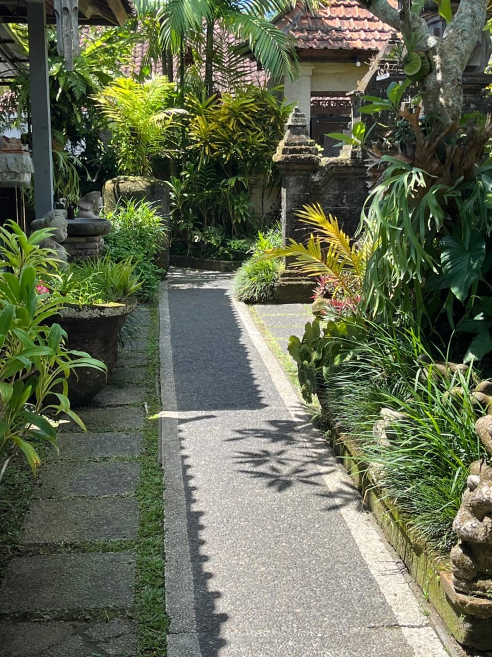 Arsa Wayan Guest House Bed and Breakfast in Bali