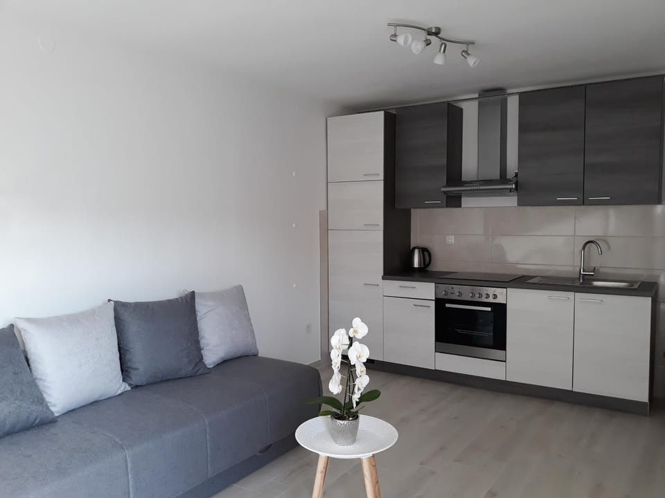 Kitchen or kitchenette, Living room, Dining area