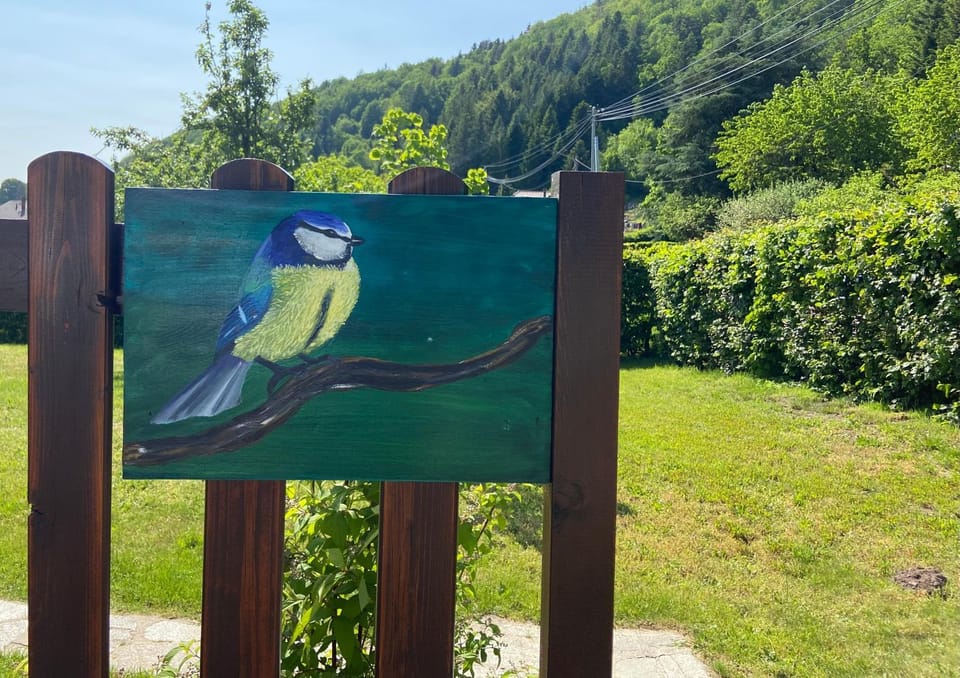 Gîte de la Mésange House in Gérardmer