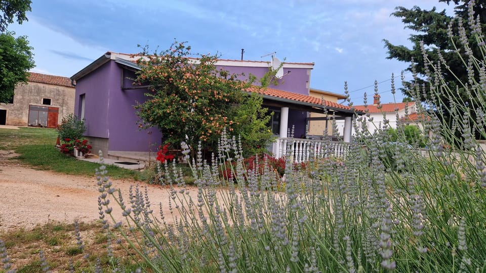 Property building, Garden view