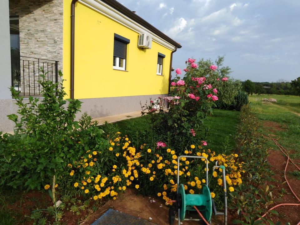 Property building, Garden