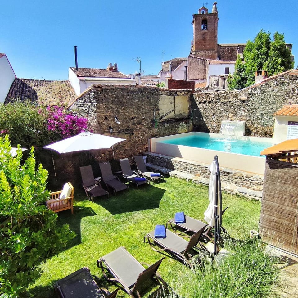 Garden, Garden view, Pool view, Swimming pool, sunbed