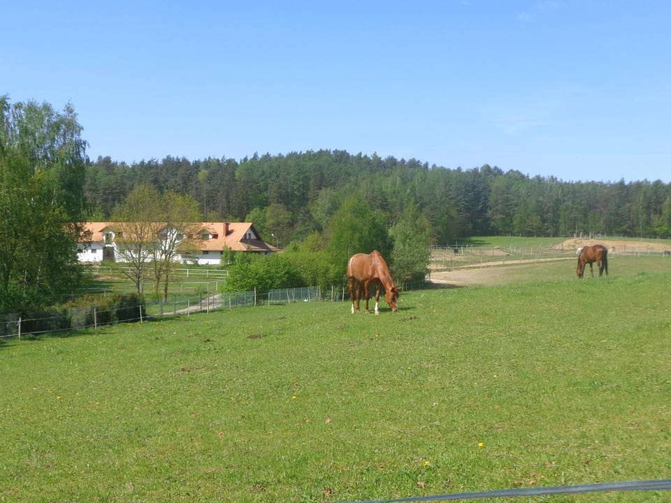 Sakowcówka - Agroturystyka , stajnia Bed and Breakfast in Pomeranian Voivodeship