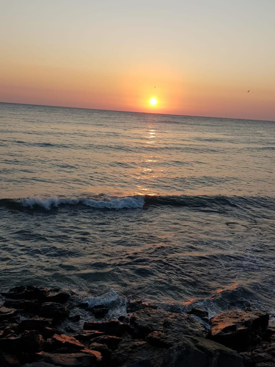 Sea view