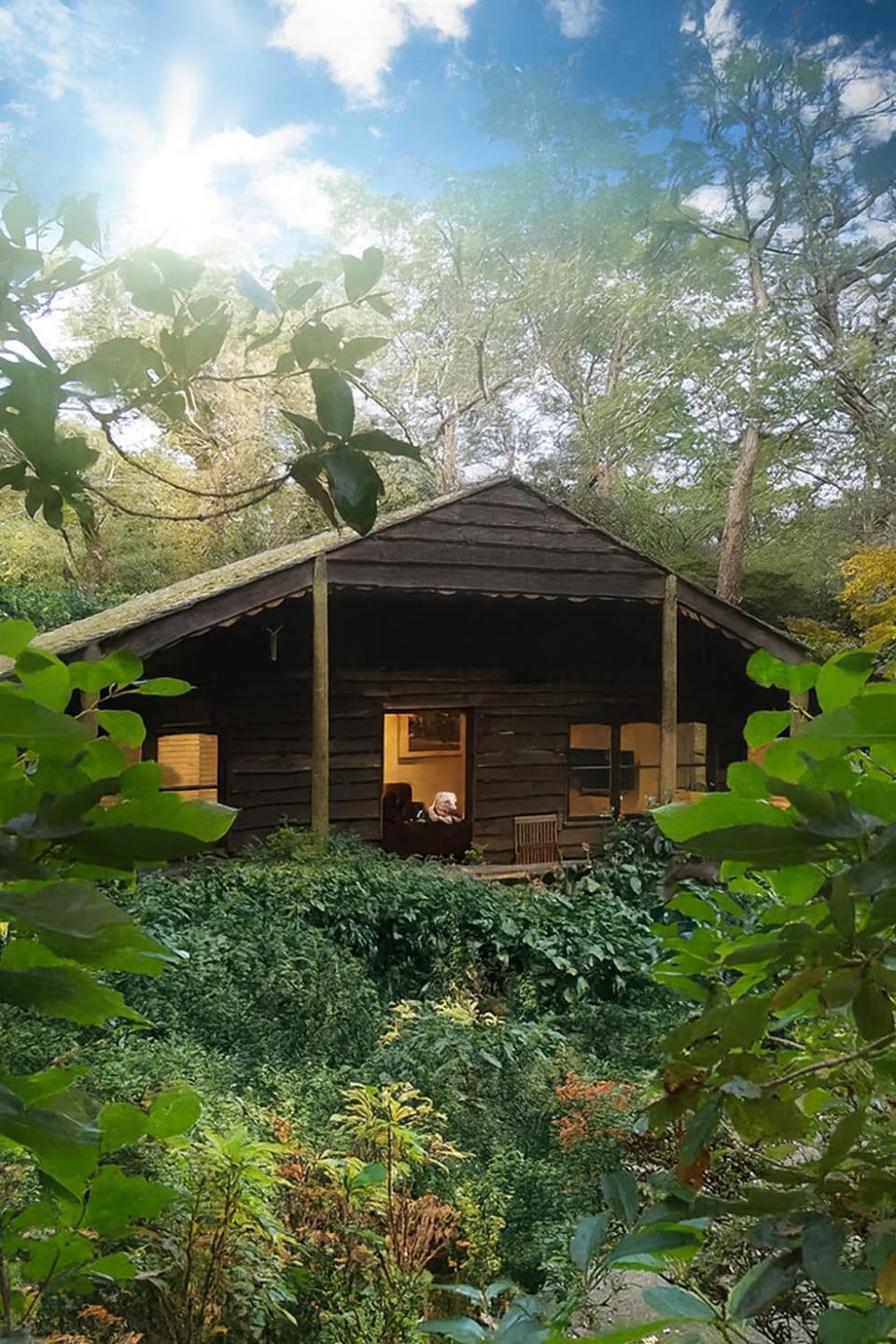 Property building, Garden, Garden view