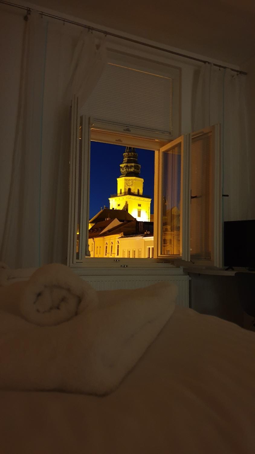 Landmark view